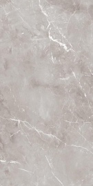 Epoque Grey Ret 120х60