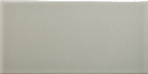 ADNE1094 Liso PB Silver Mist 20х10