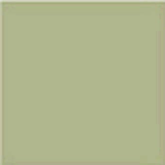 Vives Monocolor Musgo 20х20