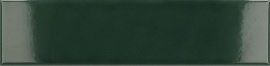 Costa Nova Laurel Green Glossy 20х5