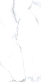 Classic Marble Statuario Chic Polished 120х60