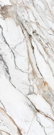 Calacatta Paonazzo Polished 300х120