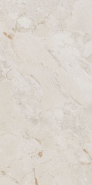 Ivory Levigato 120х60