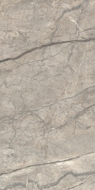 Anima Futura Amazing Silver Luc 120х60
