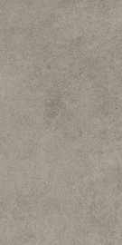 Forte dei Marmi Rock Lunar Grey 120х60