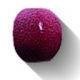 Petracer's Grand Elegance Ang Est Sigaro Bordeaux 2.5х2.5