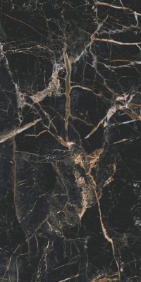 Польская плитка Cerrad Marquina  Marquina Gold Rect 59.7 119.7