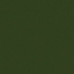 Verde Botella Brillo 20 20