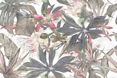 Shine flower 30 90