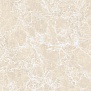 Imperatore Beige Polished 60 60