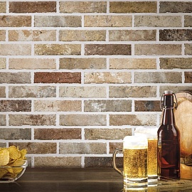 TRBC MULTICOLOR BRICK