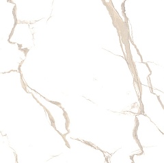Forenza White Glossy 60 60