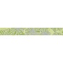 SPLENDIDA VERDE 1c 6.2 50.5
