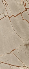 Nature Mood Rainforest Comfort 6mm 120 280