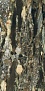 Les Bijoux Quatre Saisons Glossy Rett 6mm  120 280
