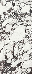 Medicela Marble Honed Rect. 120 278