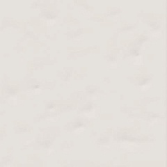 Paola Blanco-B 20х20