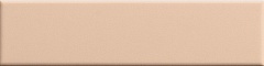 Biscuit Plain Powder 5 20
