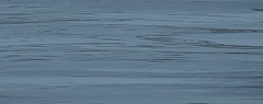 DIANA ACQUA 1c 20.1 50.5