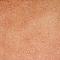 Vega ant Rojo 33 33