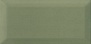 BISSEL GREEN OLIVE 10 20