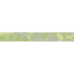 SPLENDIDA VERDE 1c 6.2 50.5