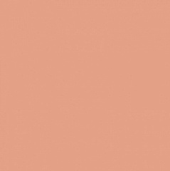 Pixel41 Blush 11,5 11,5
