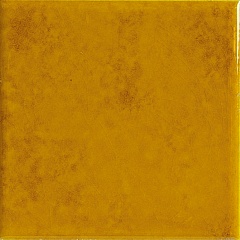 Carmen Genuine Amber 10 10
