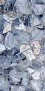 Ancient Ice 60 120