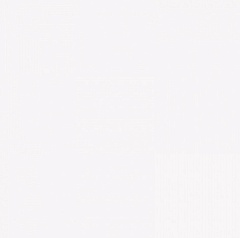 Pixel41 White 11,5 11,5