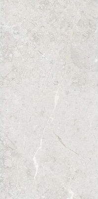 Индийская плитка Art&Natura Ceramica Una Pietra Una Pietra Nordix Silver Glossy 60 120