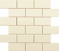 ADNE1047 Liso PB Biscuit Z (5х10) Enmallado 30.9 30.5