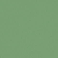 Pixel41 Frog 11,5 11,5