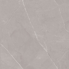 PULPIS GREY P 42 42