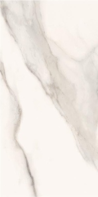 Итальянская плитка Supergres Ceramiche Purity of Marble Calacatta Nat Rt 60 120