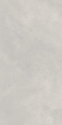 Индийская плитка Neodom Loft Loft Newport Gris Matt 60 120