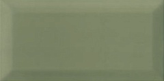 BISSEL GREEN OLIVE 10 20