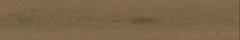 Entice Browned Oak Natural Matt 20 120