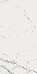 CalBo49Lp 45 90