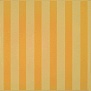 Petracer's Grand Elegance RG2-2 Riga Grande Crema su Crema 20 20