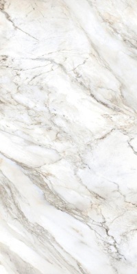 Индийская плитка Bluezone Marmi Di Carara Marmi Di Carara B 60 120