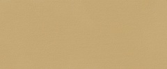 True Color Caramel Matt 50 120 