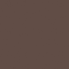 Rainbow RW 04 Непол. Brown 30 30