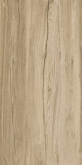 Alleya Grey Brown Str. K-2103/SR/600x1200 60 120