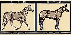 Petracer's Grand Elegance Horses su Crema 10 20