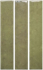 Nouvelle Liquen Gloss 3х16