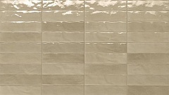 TORTORA BRILLANTE 24х6