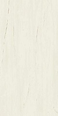 Плитка Marvel Bianco Dolomite Lappato 120х60 (Италия) Marvel Bianco Dolomite Lappato 120х60