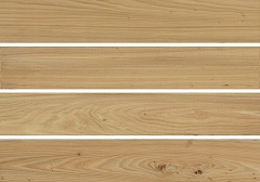 Element Wood Olmo 20 120