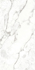 Breccia Bianco  120х60